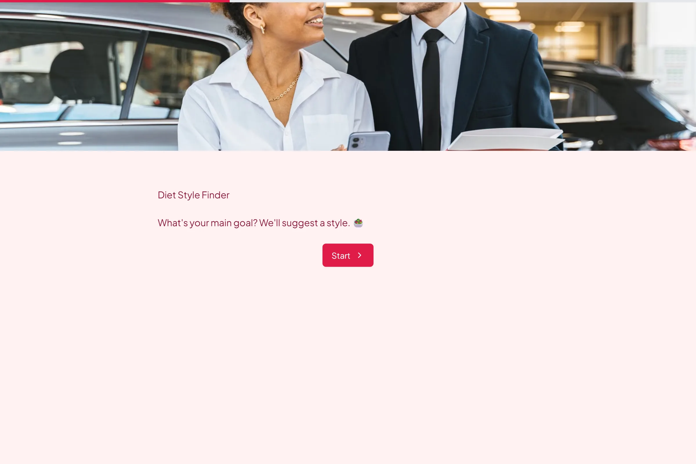 Diet Style Finder template preview