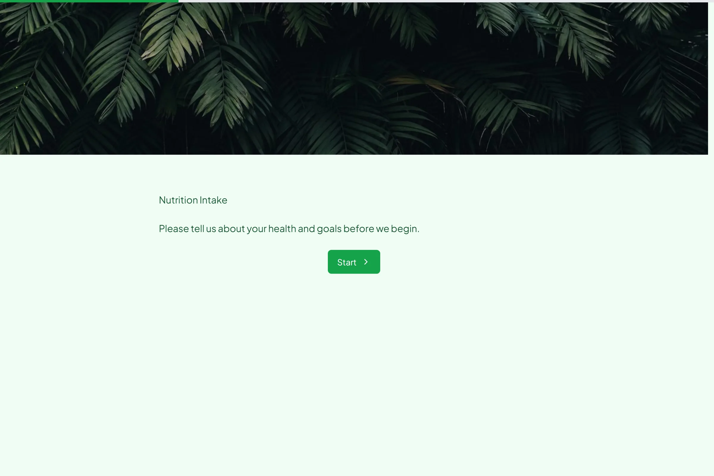 Nutrition Intake template preview