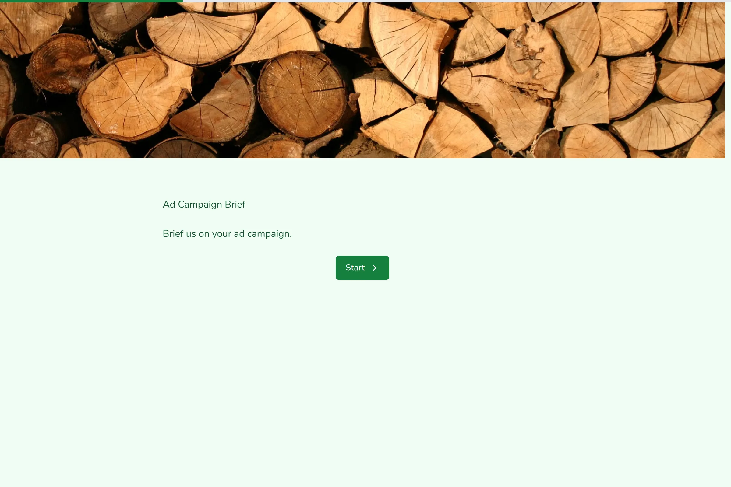 Ad Campaign Brief template preview