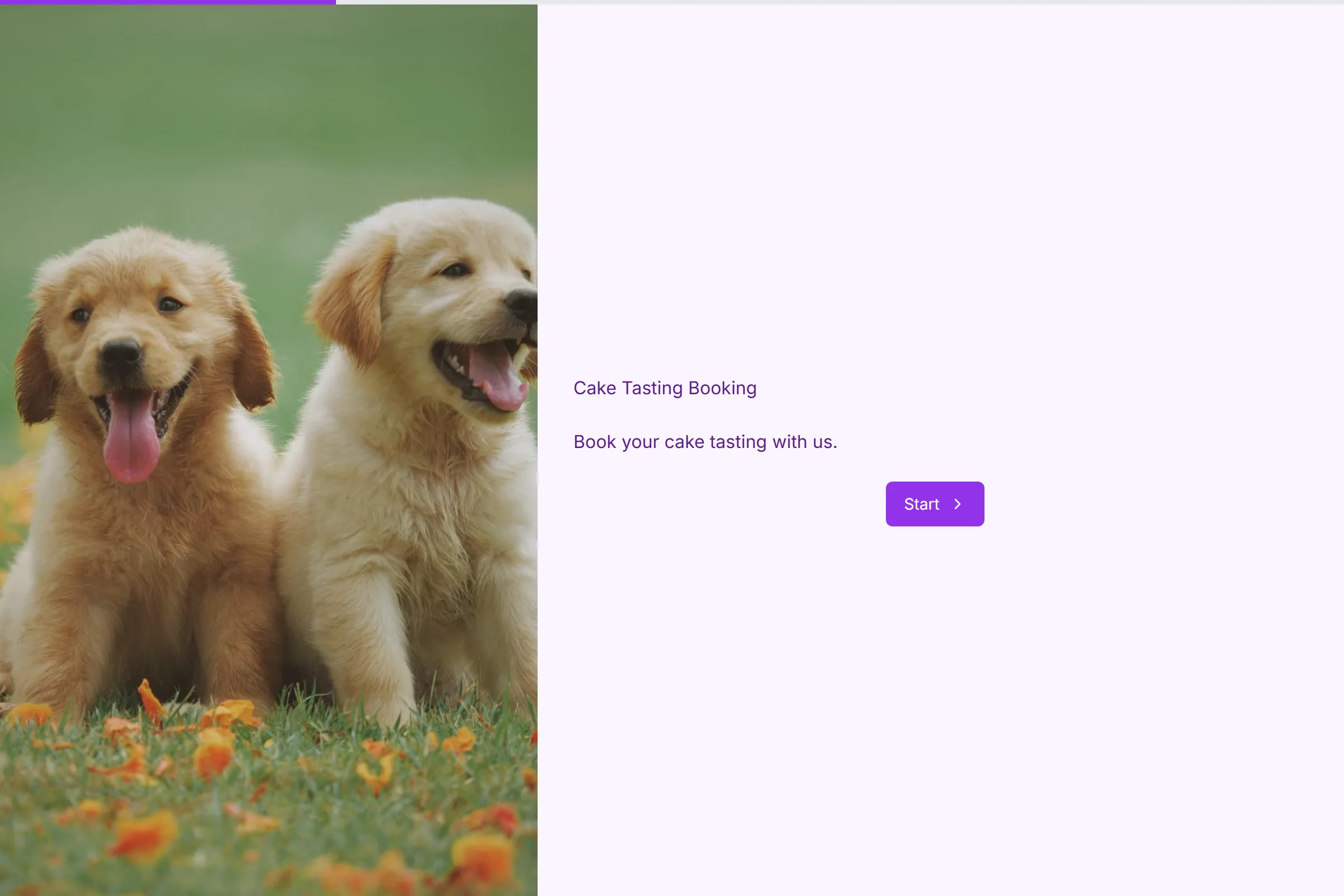 Cake Tasting Booking template preview