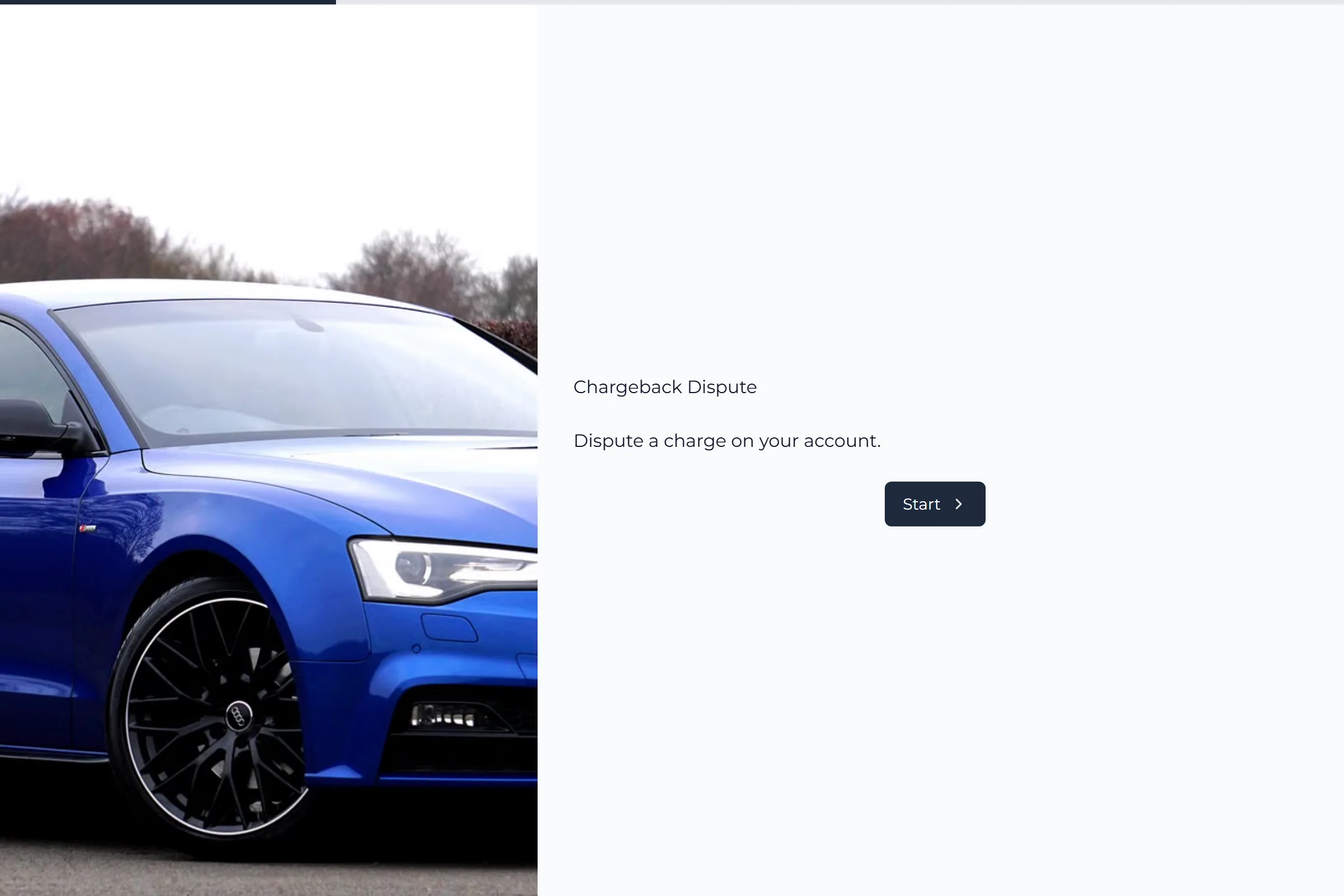 Chargeback Dispute template preview