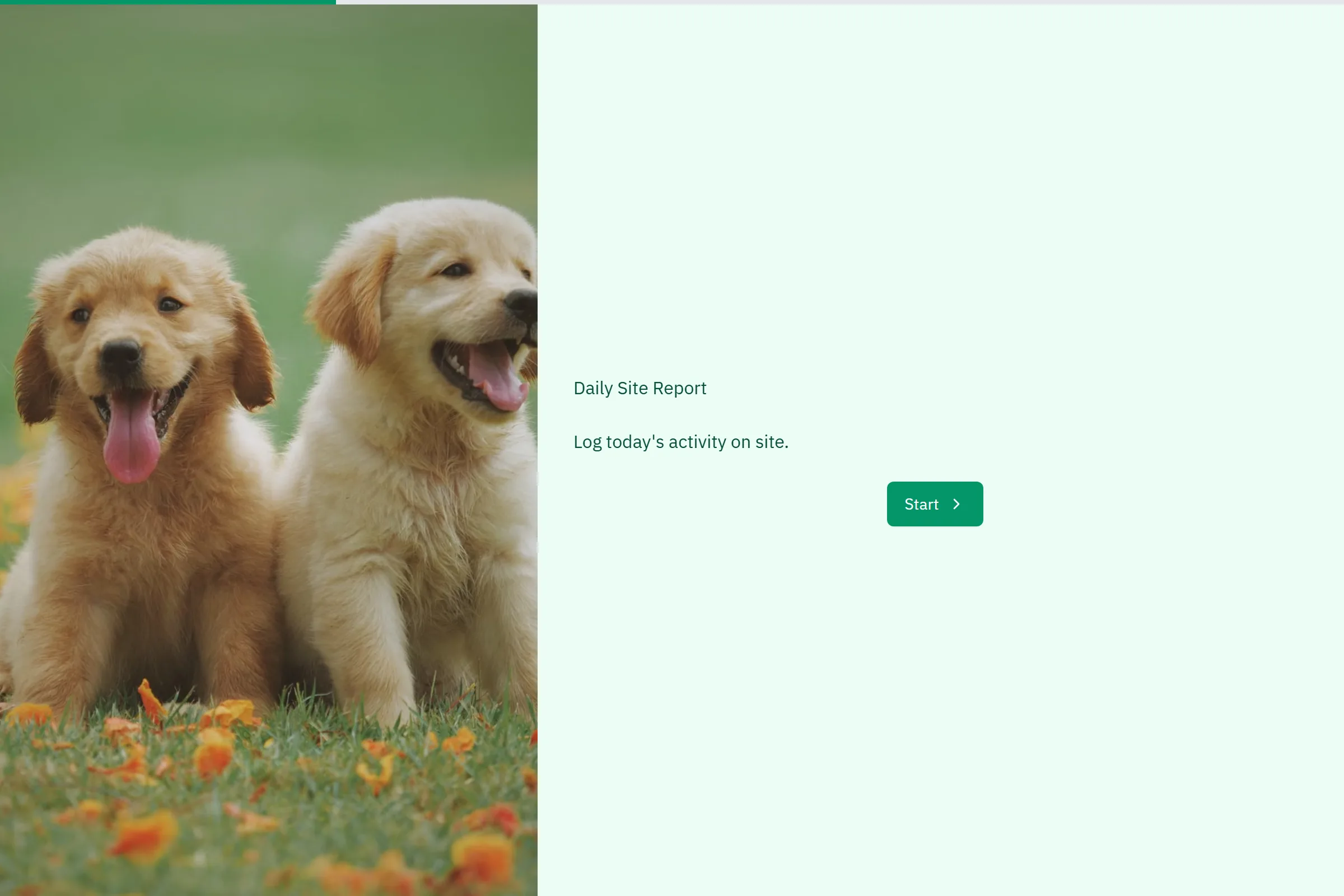 Daily Site Report template preview