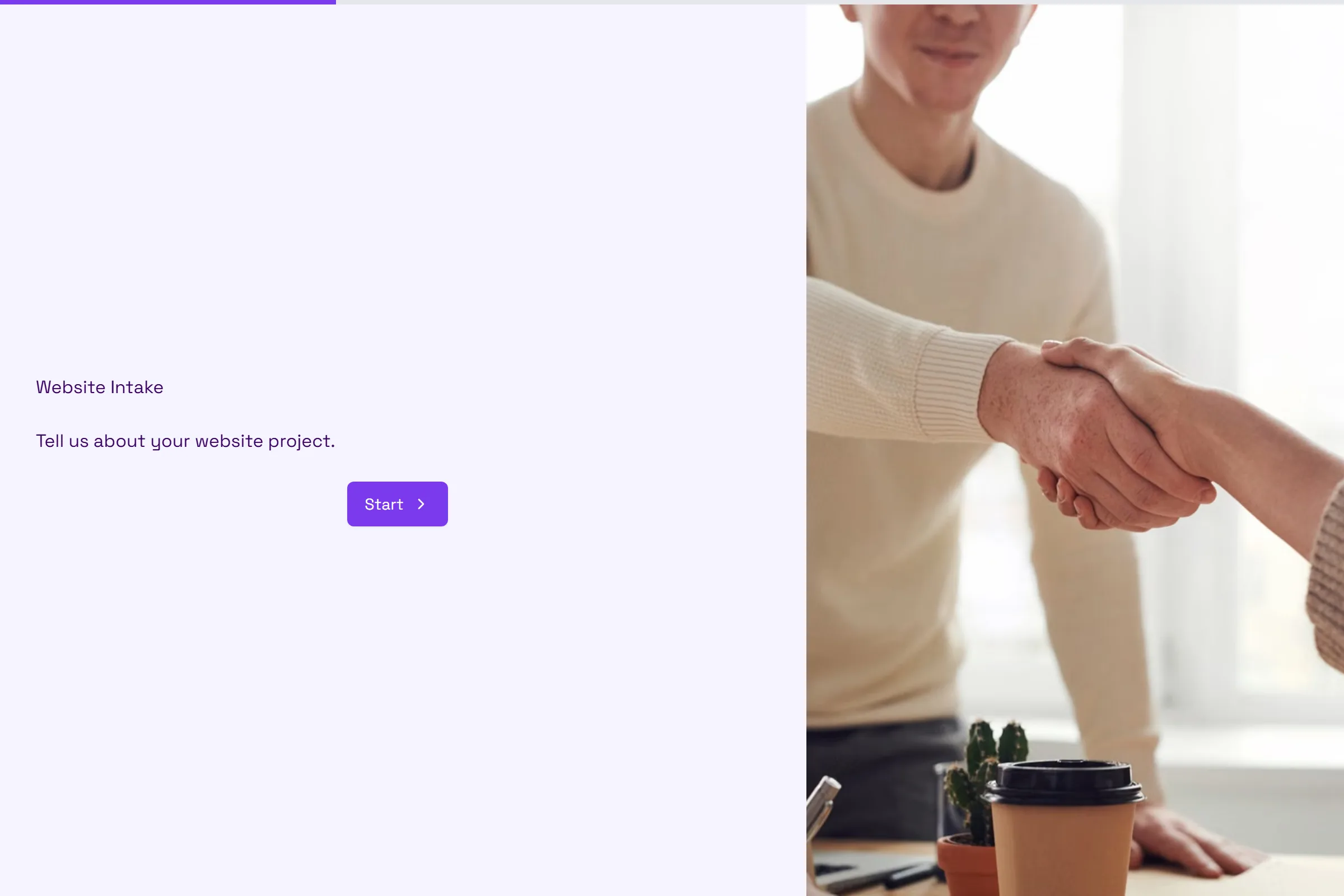 Website Intake template preview