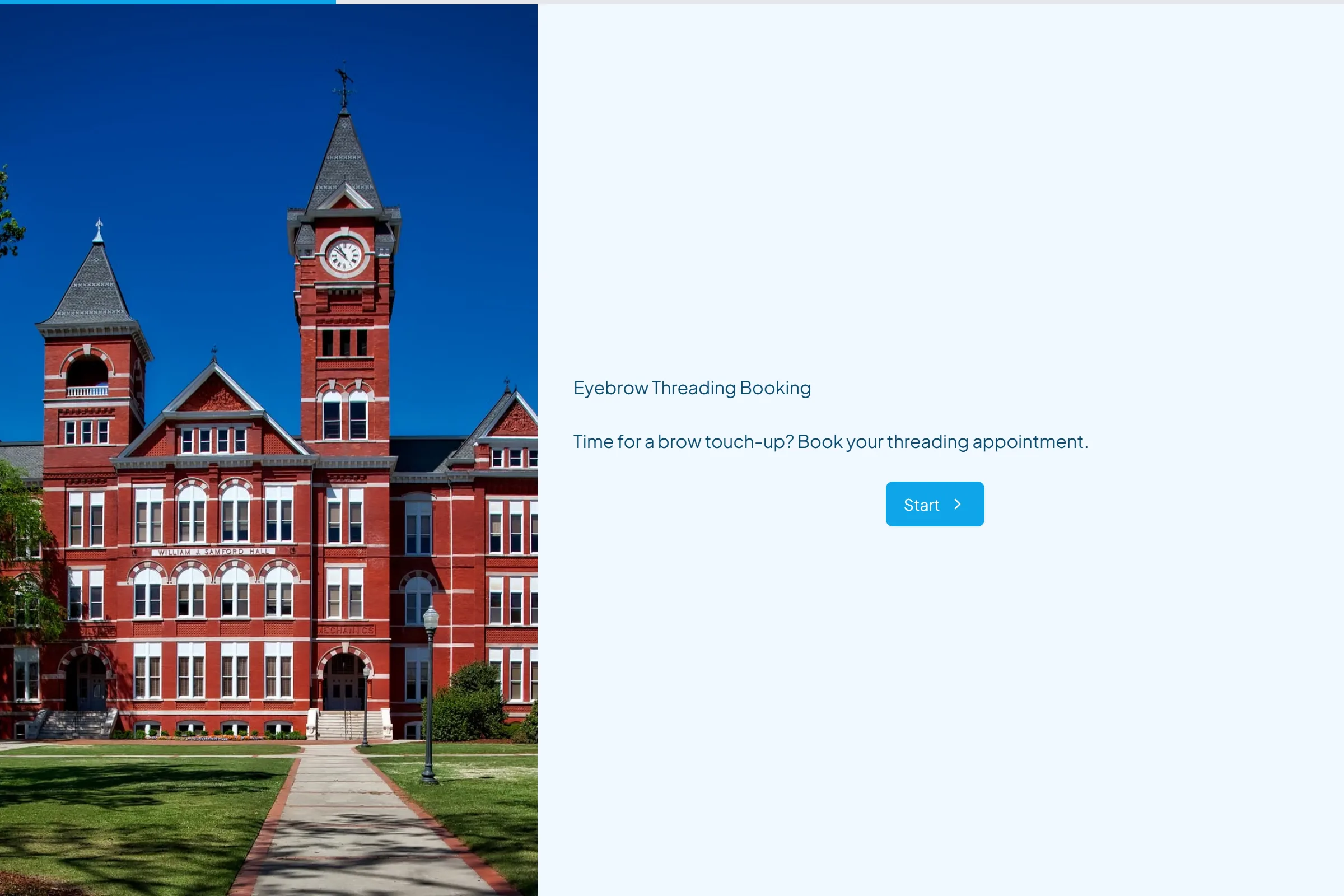 Eyebrow Threading Booking template preview