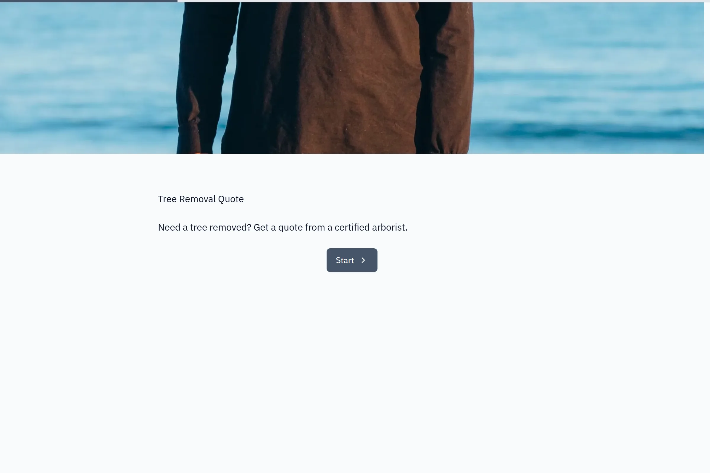 Tree Removal Quote template preview