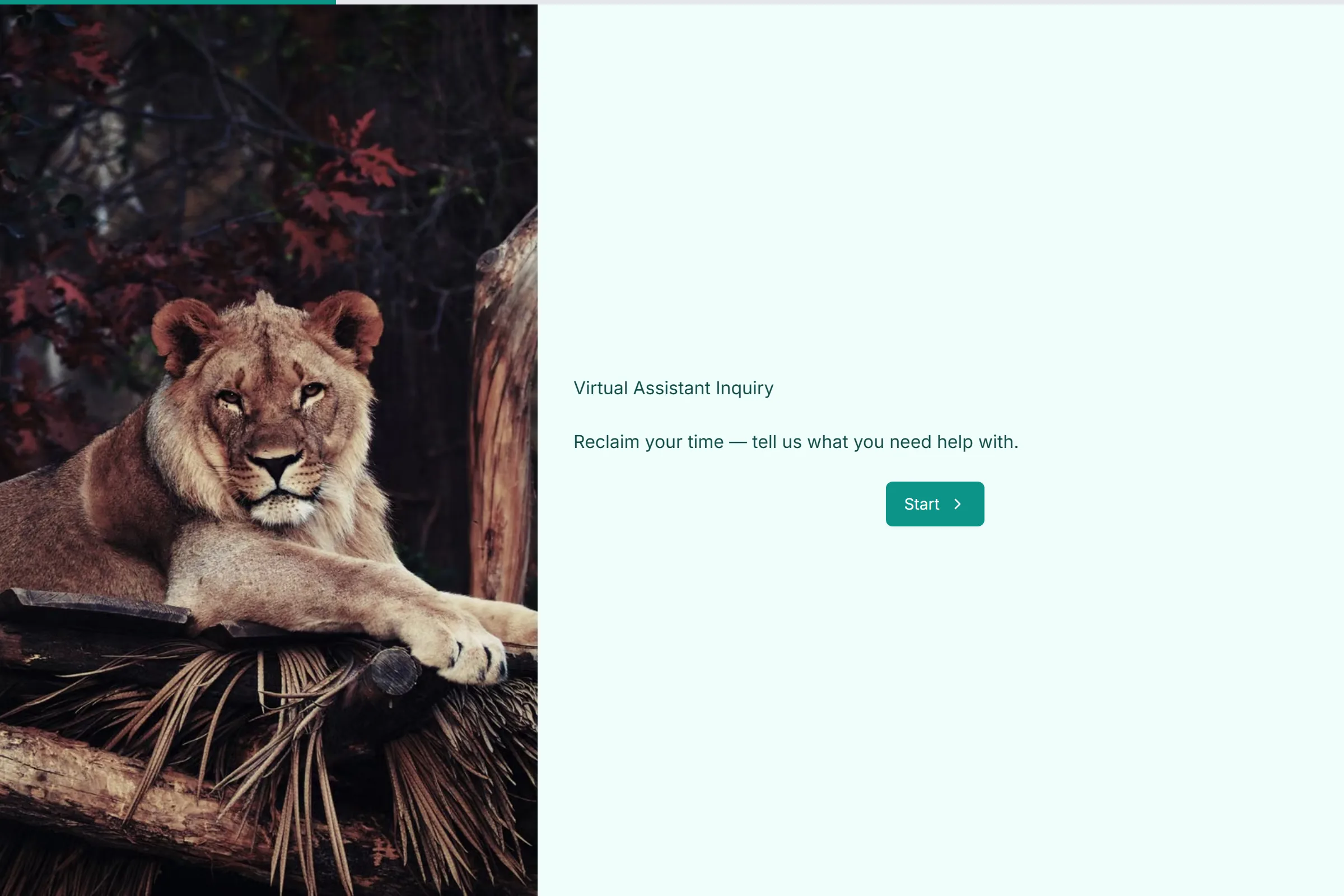 Virtual Assistant Inquiry template preview
