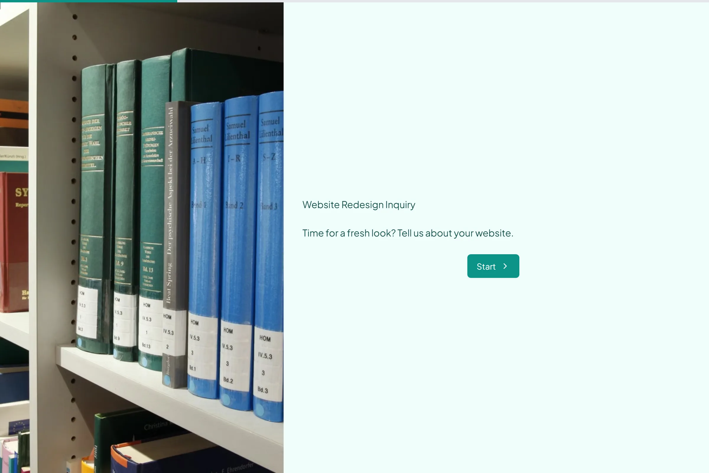 Website Redesign Inquiry template preview